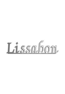 Type Lissabon | Productie Westdecor  | Inox