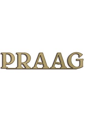 Type Praag | Productie Westdecor |Brons