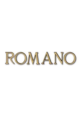 Romano | Brons | Vezzani