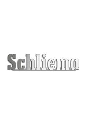 Type Schliema | Productie Westdecor  | Inox
