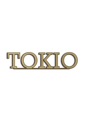 Type Tokio | Productie Westdecor |Brons