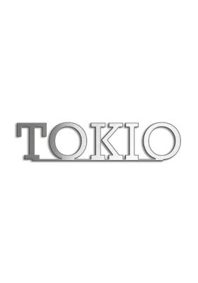 Type Tokio | Productie Westdecor  | Inox