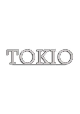 Type Tokio | 5mm Alu zilver