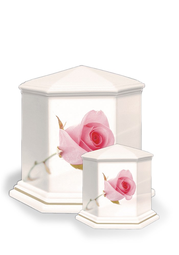 UPOLEP803 | 12cm 0,335L